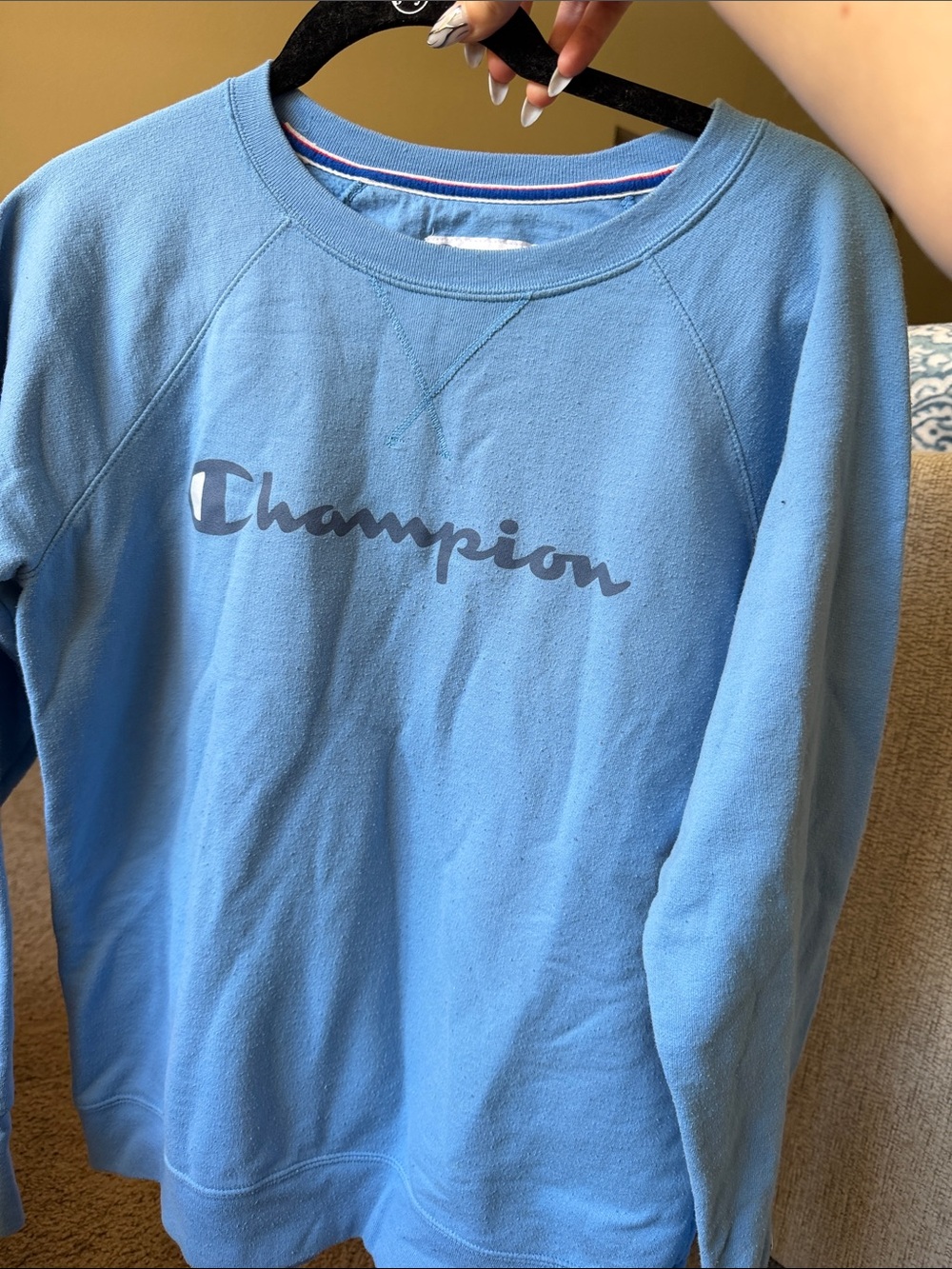 Champion Pullover